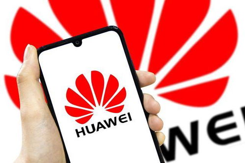 華為 在逆風(fēng)中砥礪前行的網(wǎng)絡(luò)技術(shù)燈塔